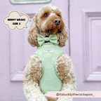 Adjustable Dog Harness product image 10
