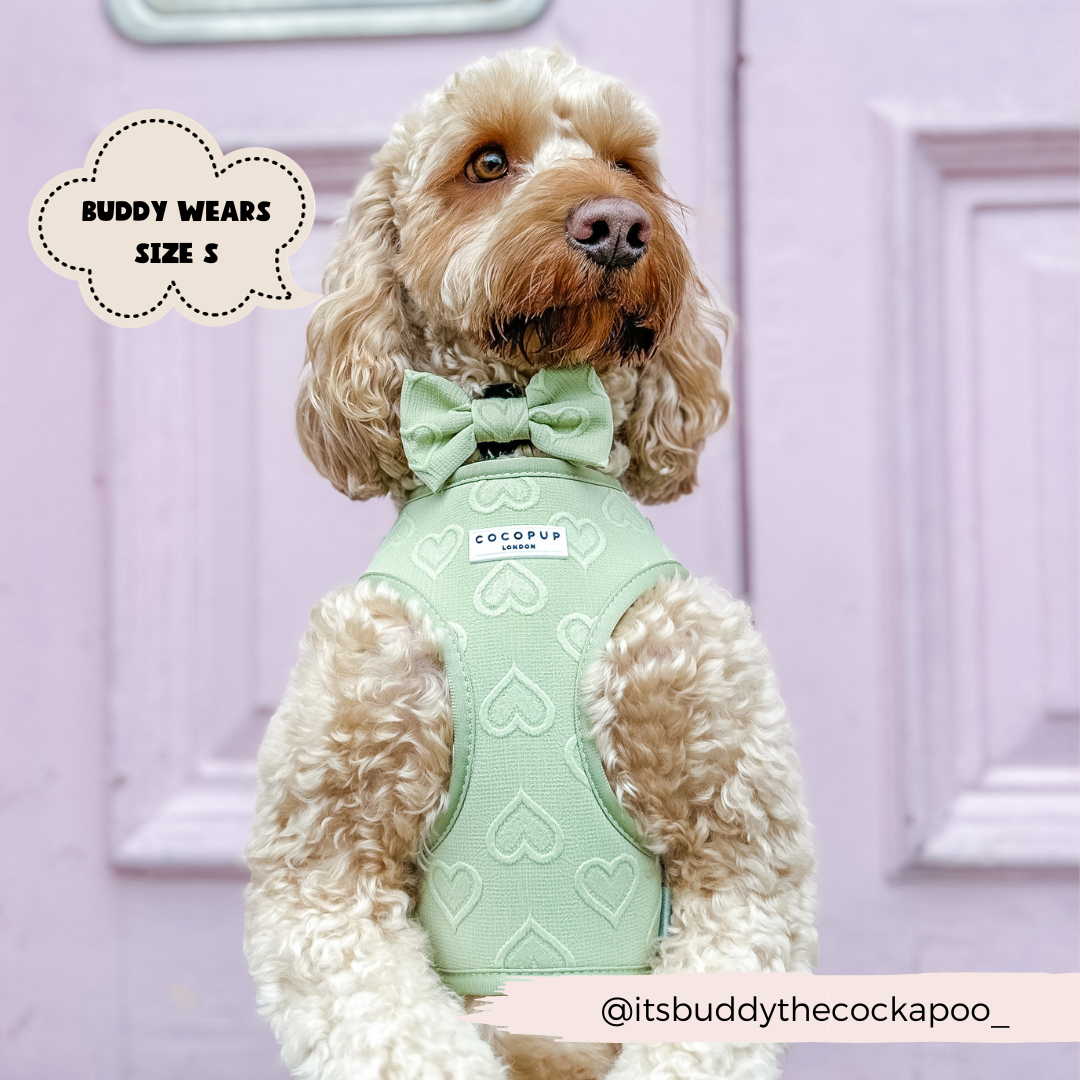 Adjustable Dog Harness product image 10
