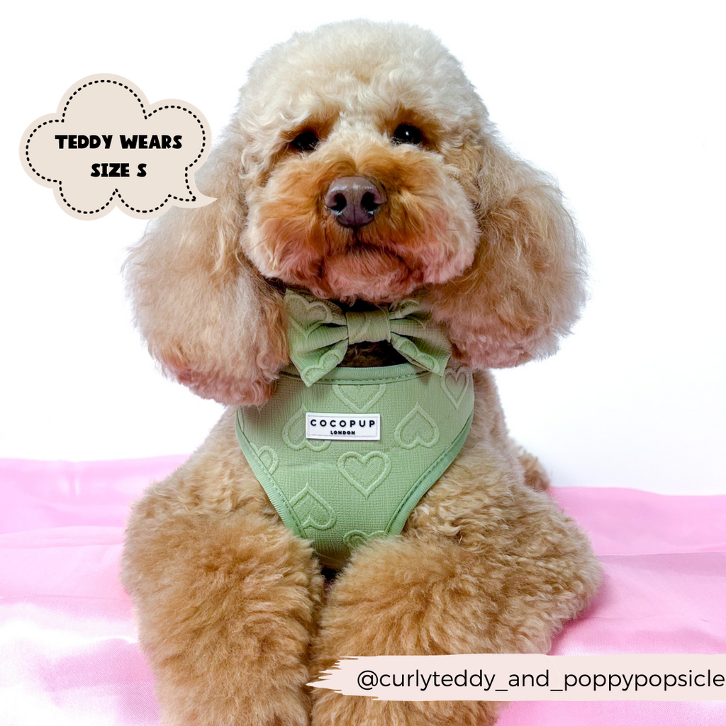 Adjustable Dog Harness product image 11