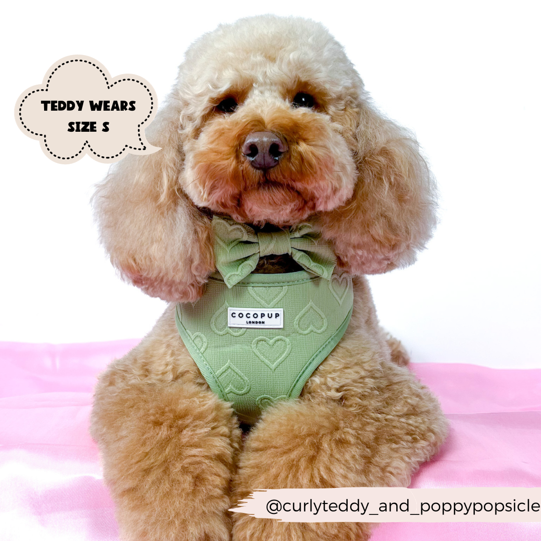 Adjustable Dog Harness product image 11