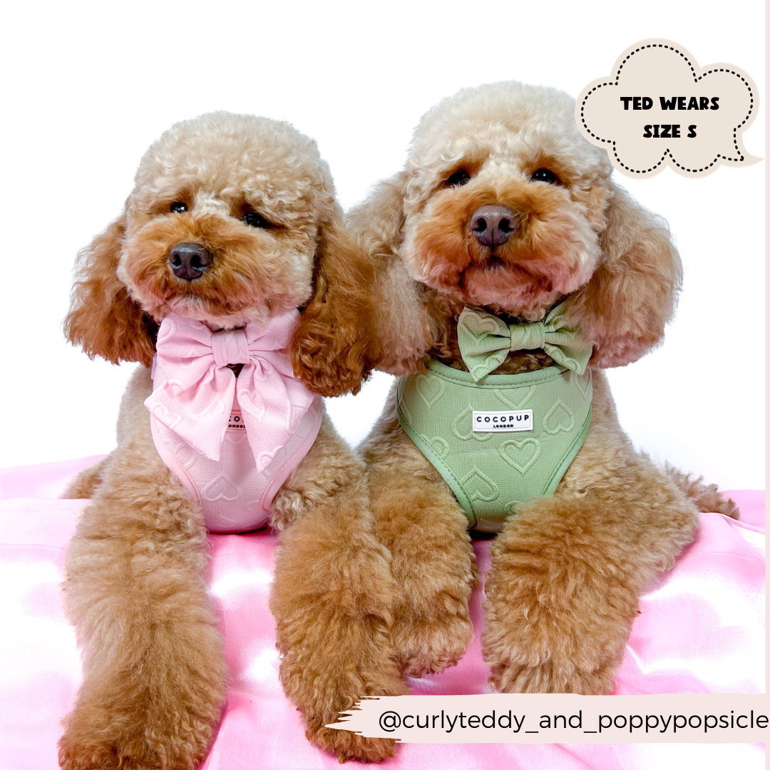 Adjustable Dog Harness product image 12