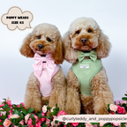 Adjustable Dog Harness product image 13