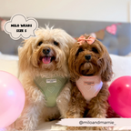 Adjustable Dog Harness product image 15