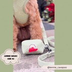 Adjustable Dog Harness product image 20