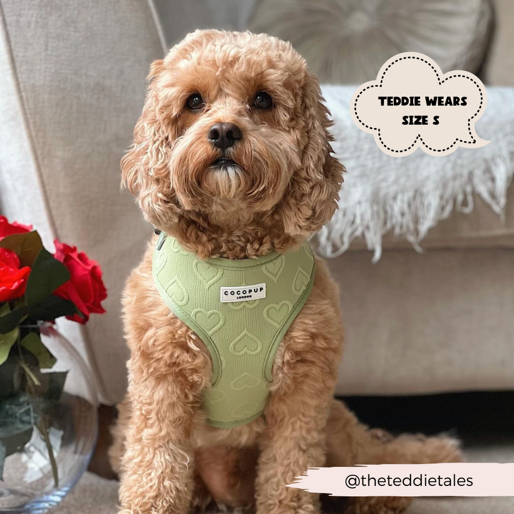 Adjustable Dog Harness product image 24
