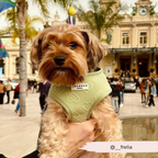 Adjustable Dog Harness product image 26