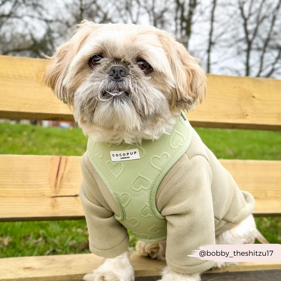 Adjustable Dog Harness product image 28