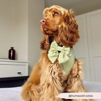 Adjustable Dog Harness product image 31