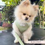 Adjustable Dog Harness product image 32