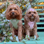 Adjustable Dog Harness product image 35