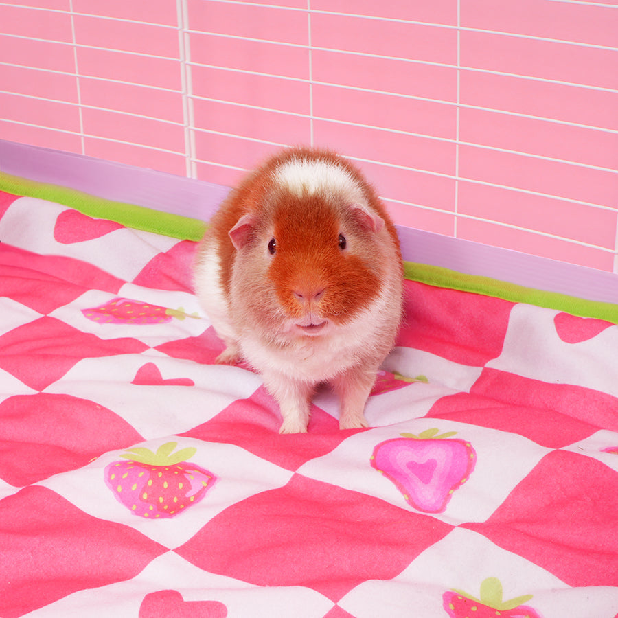 Guinea Pig Fleece Liners product image 2