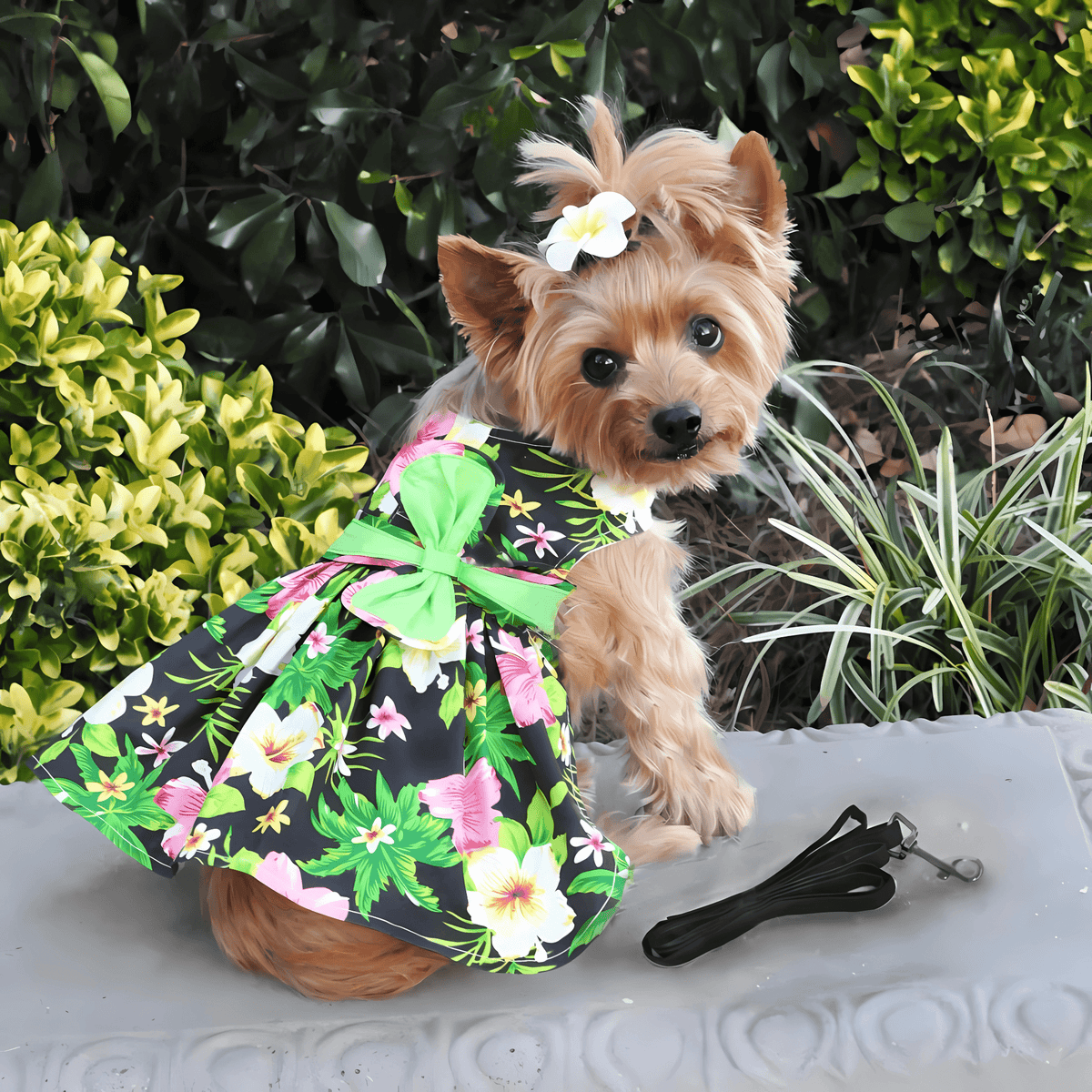 Dog Dress product image 1