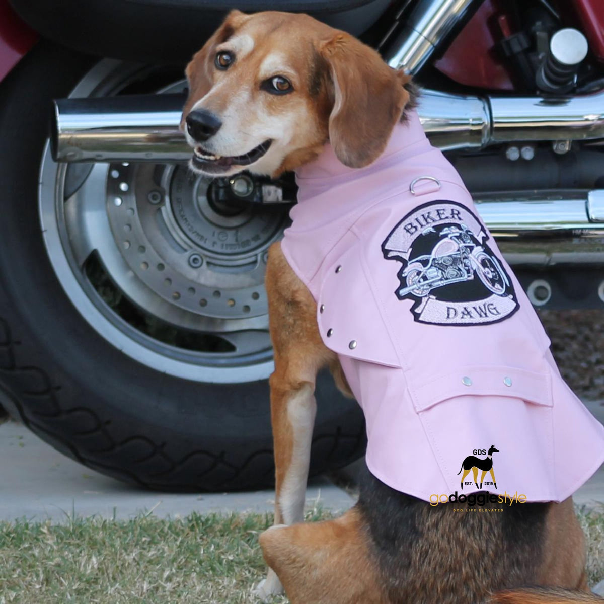 Dog Motorcycle Jacket product image 1