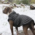 Dog Coat product image 1