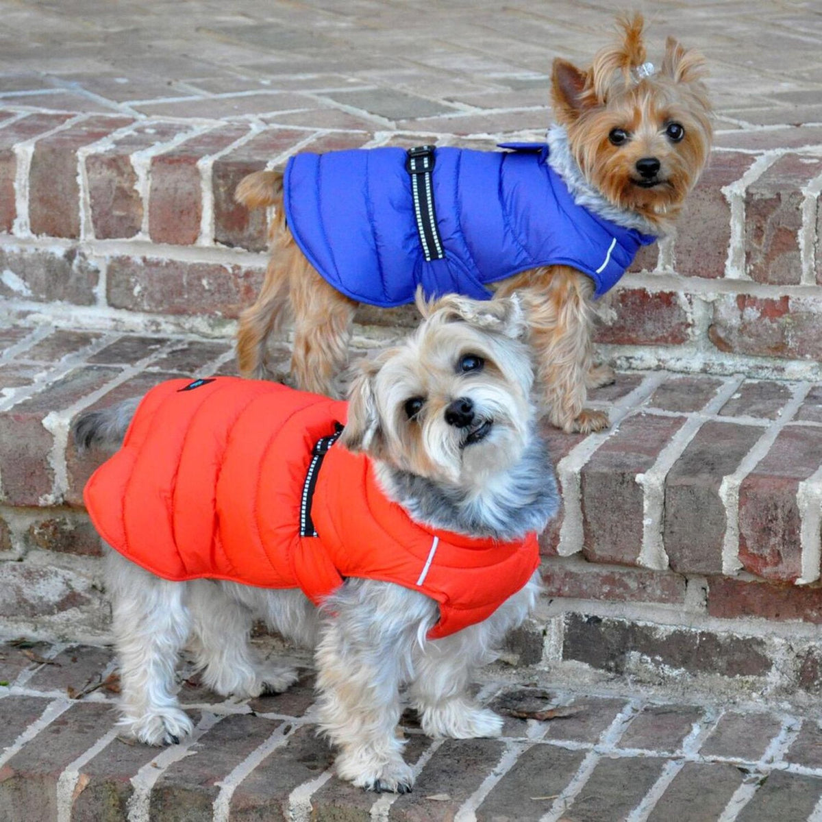 Dog Coat product image 1