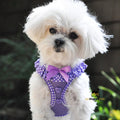 Choke-Free Dog Harness product image 1