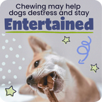 Braided Bully Stick Dog Chews product image 14