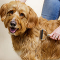 Dog Dematting Tool product image 1