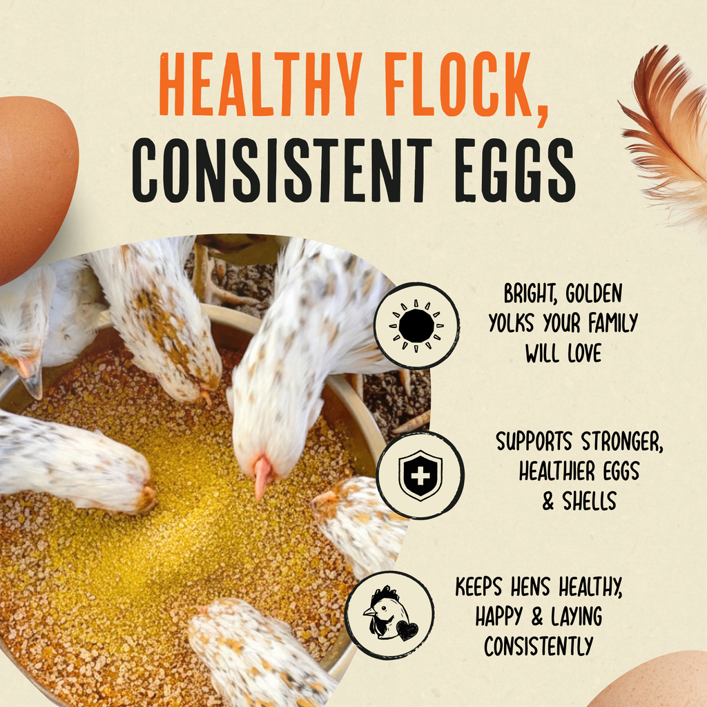 Daily Egg Booster Supplement for Chickens product image 3