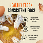 Daily Egg Booster Supplement for Chickens product image 3