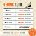 Daily Egg Booster Supplement for Chickens product image 10