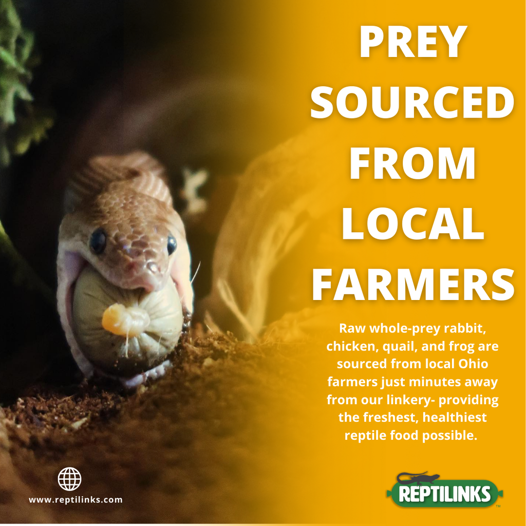 Reptile Food Links product image 5
