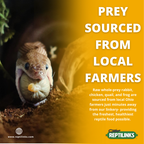 Reptile Food Links product image 5