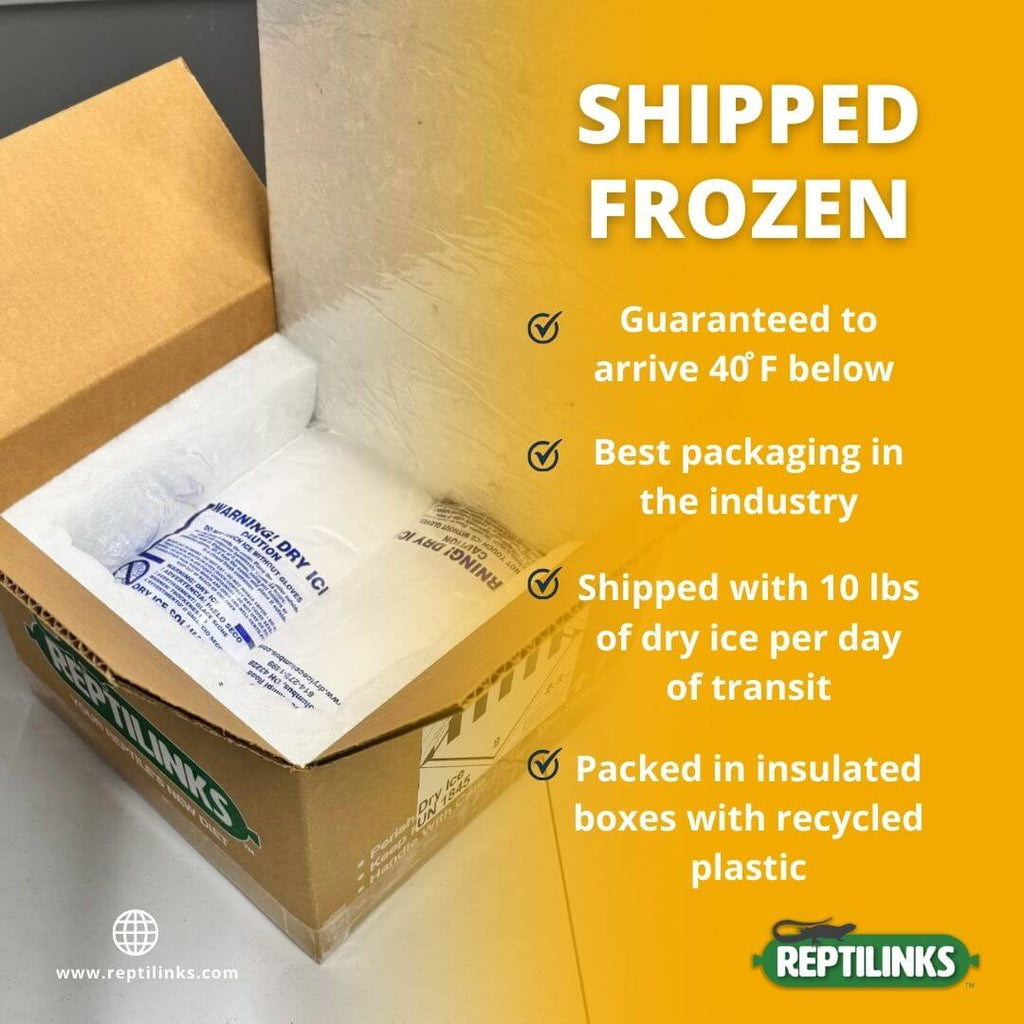 Reptile Food Links product image 8