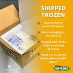 Reptile Food Links product image 8