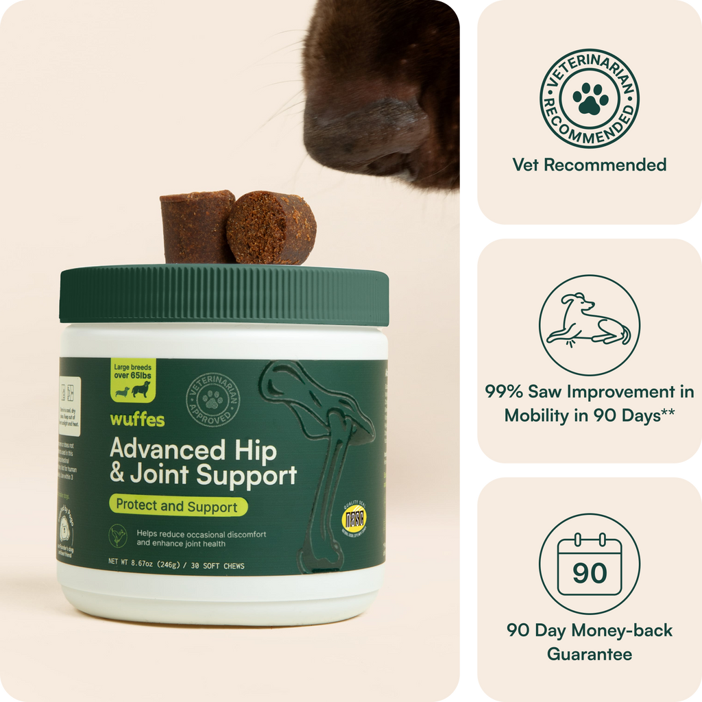 Dog Joint Supplement product image 2