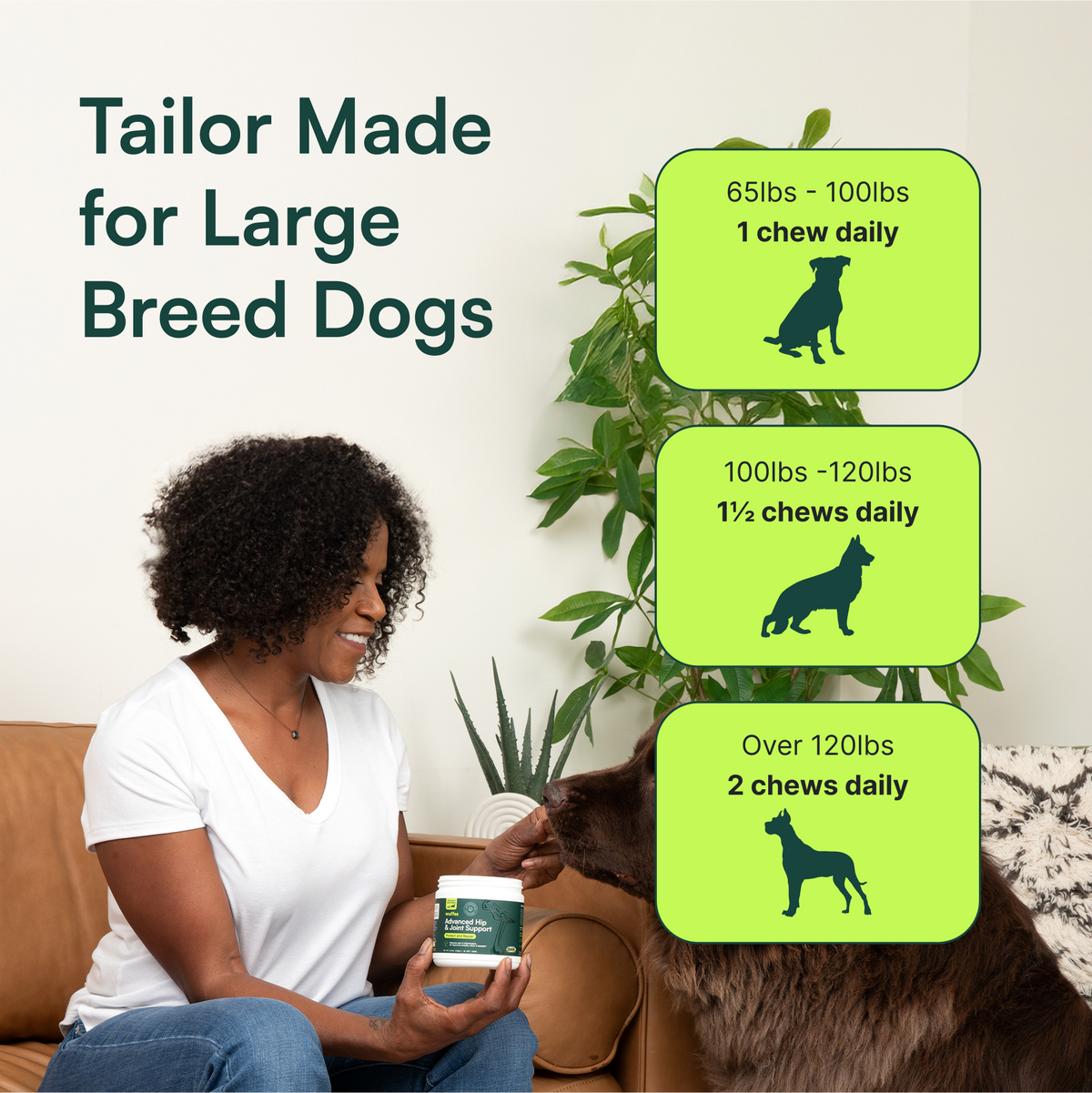 Dog Joint Supplement product image 4