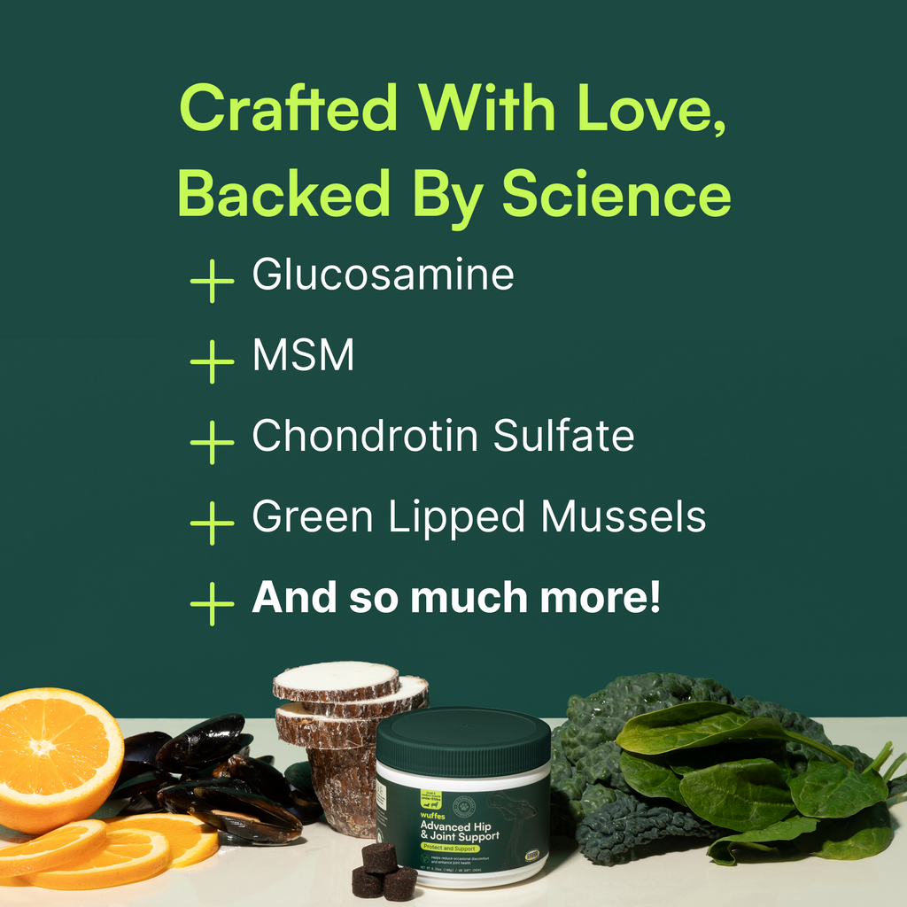 Dog Joint Supplement product image 5