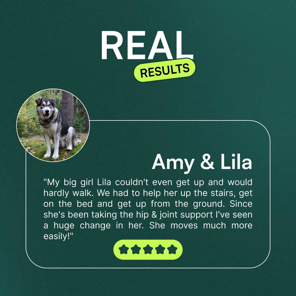 Dog Joint Supplement product image 7