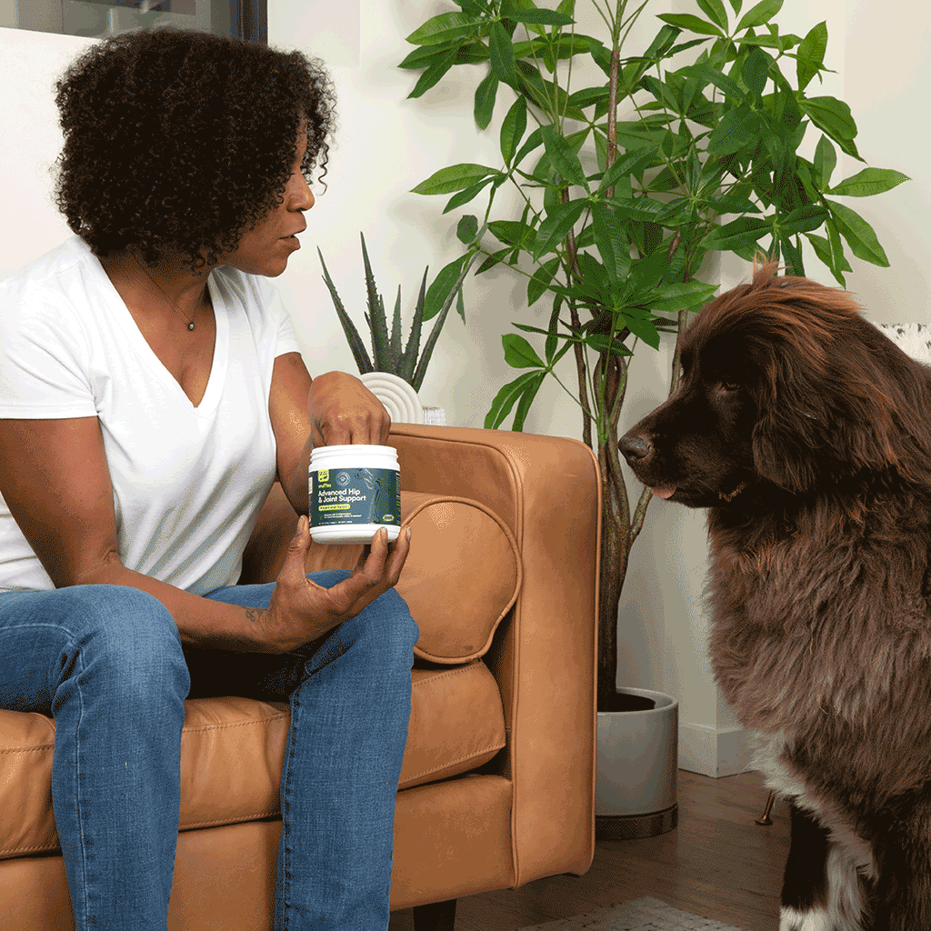 Dog Joint Supplement product image 8