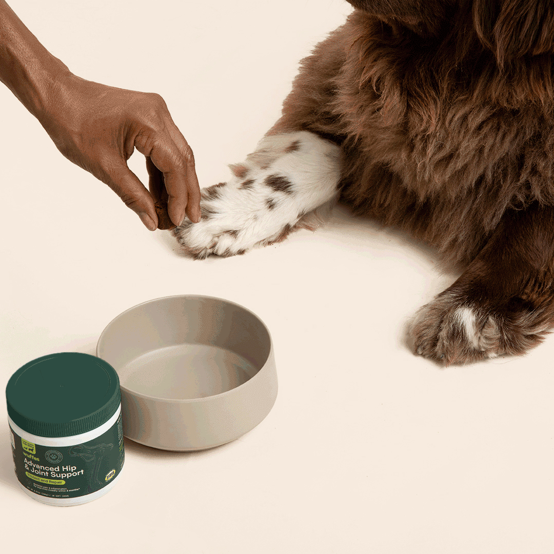 Dog Joint Supplement product image 9