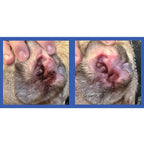 Dog Ear Cleaner Finger Wipes product image 5