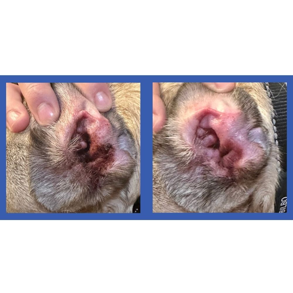 Dog Ear Cleaner Finger Wipes product image 5