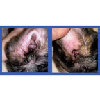 Dog Ear Cleaner Finger Wipes product image 6