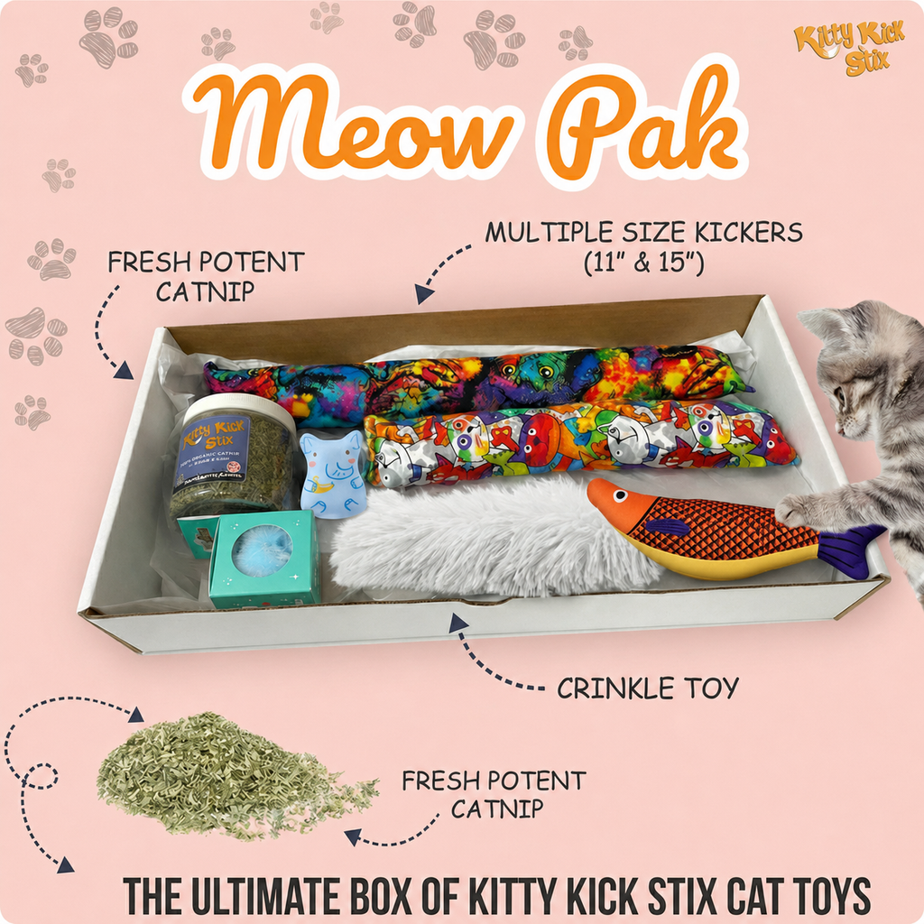 Cat Party Box product image 1