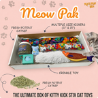 Cat Party Box product image 1