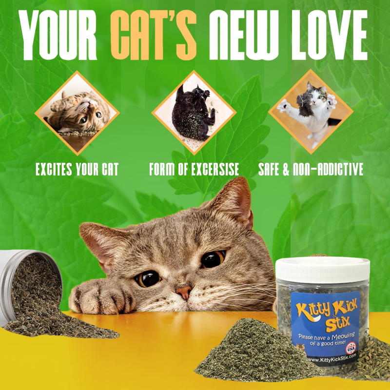 Cat Party Box product image 6