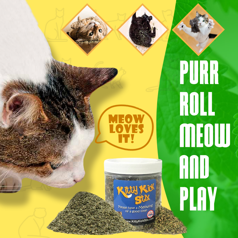 Cat Party Box product image 7