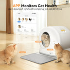 Meowant SC01 self-cleaning litter box featuring APP cat health monitoring.