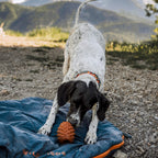 A black and white dog with a collar plays with an orange toy on The Conifur blue sleeping bag outdoors, surrounded by mountains and greenery.