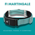 Martingale Dog Collar product image 1