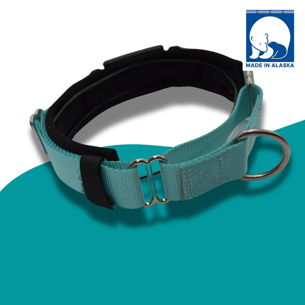 Martingale Dog Collar product image 2