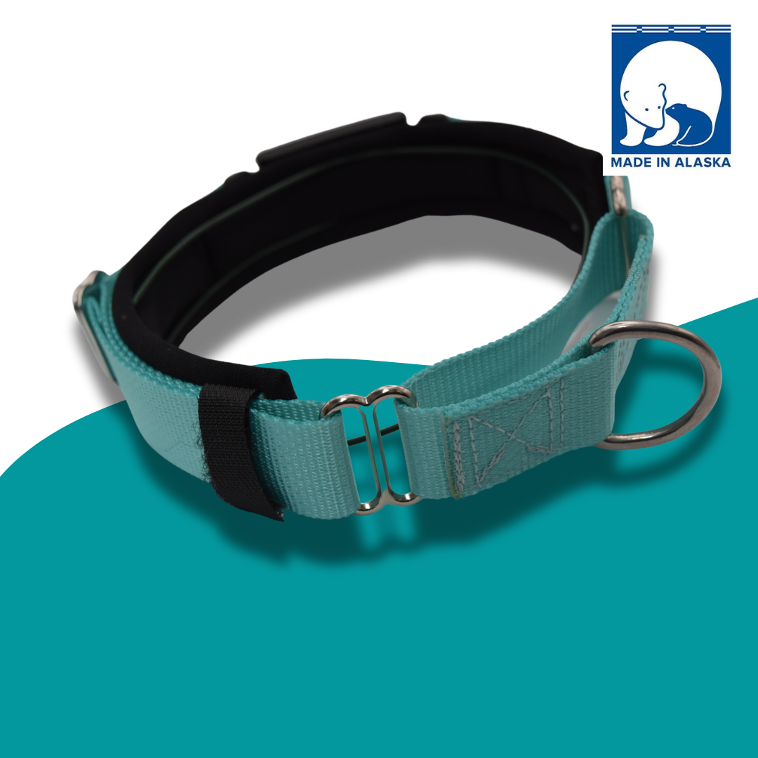 Martingale Dog Collar product image 2