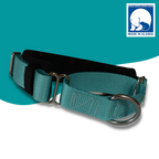 Martingale Dog Collar product image 3