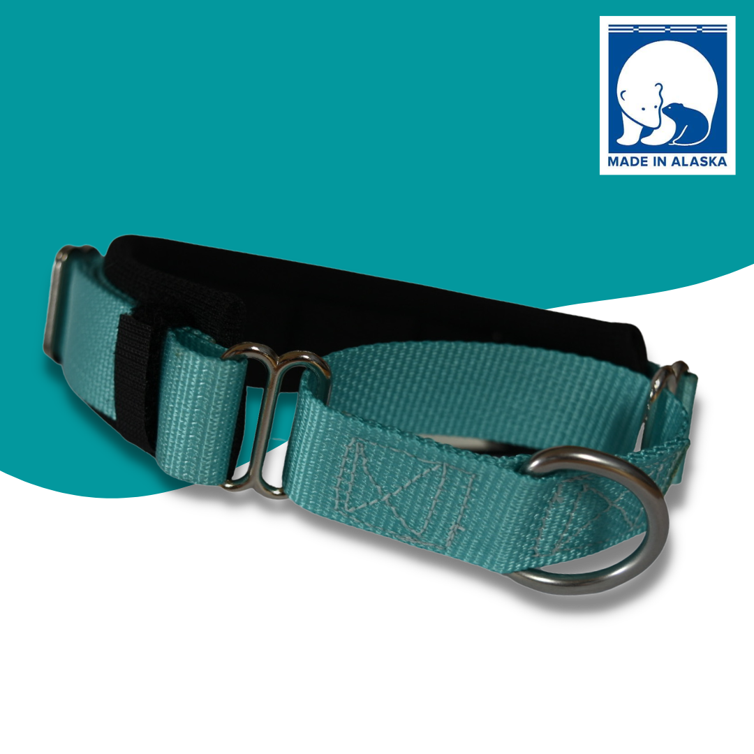 Martingale Dog Collar product image 3
