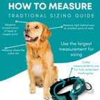 Martingale Dog Collar product image 5